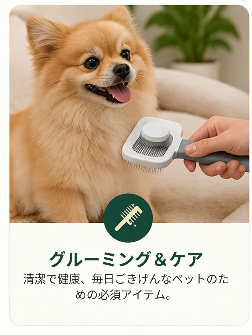 グルーミング&ケア