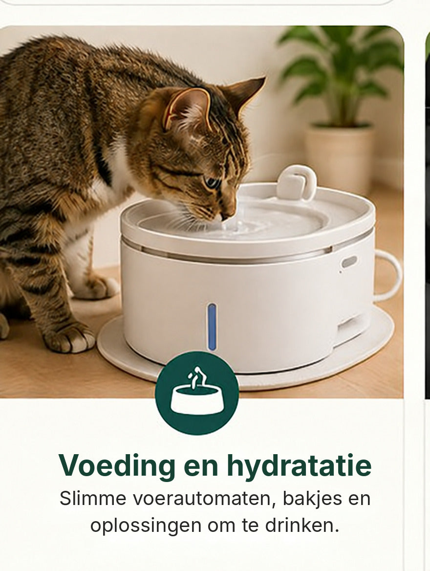 Voeding en hydratatie