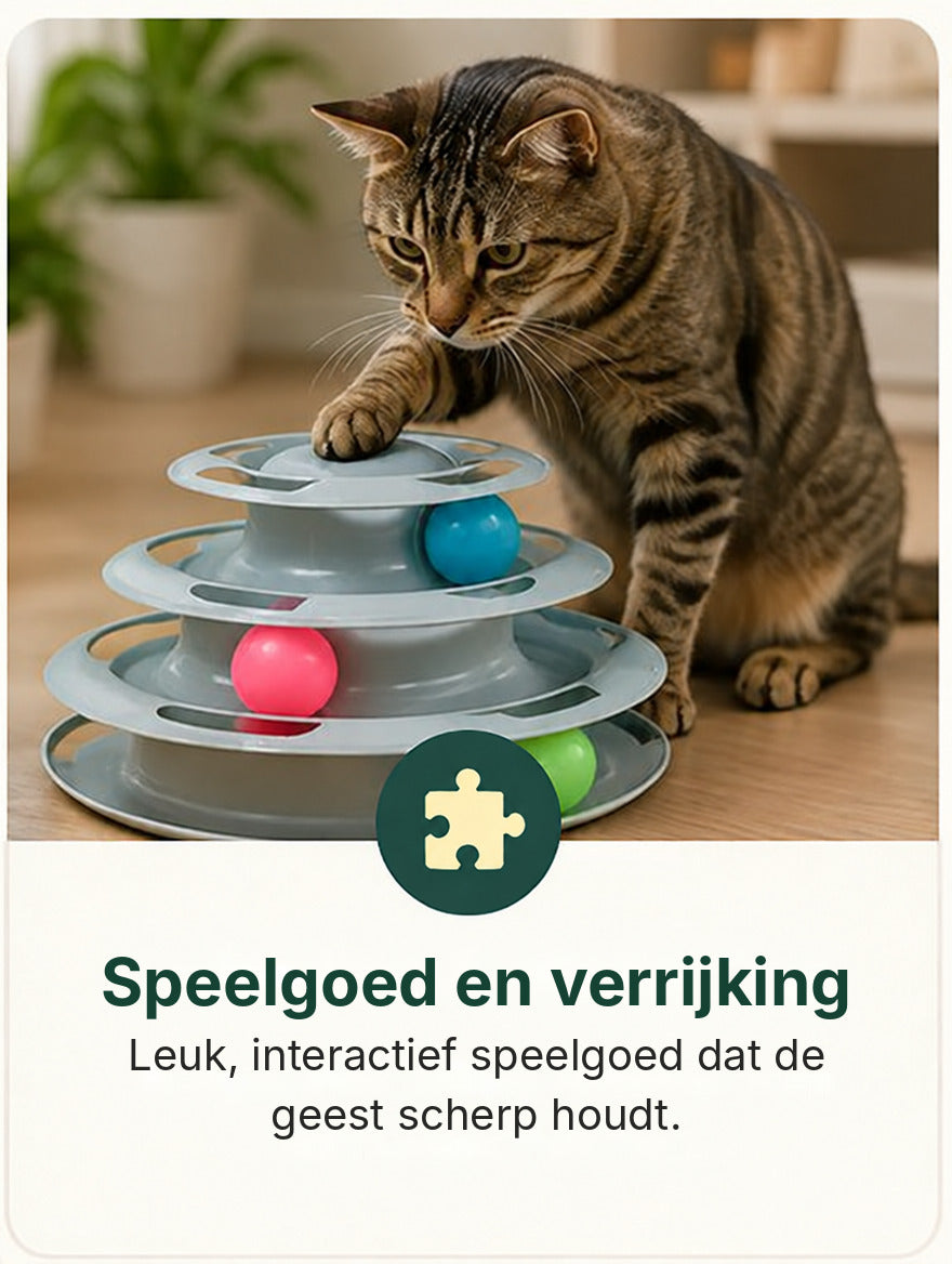 Speelgoed en verrijking
