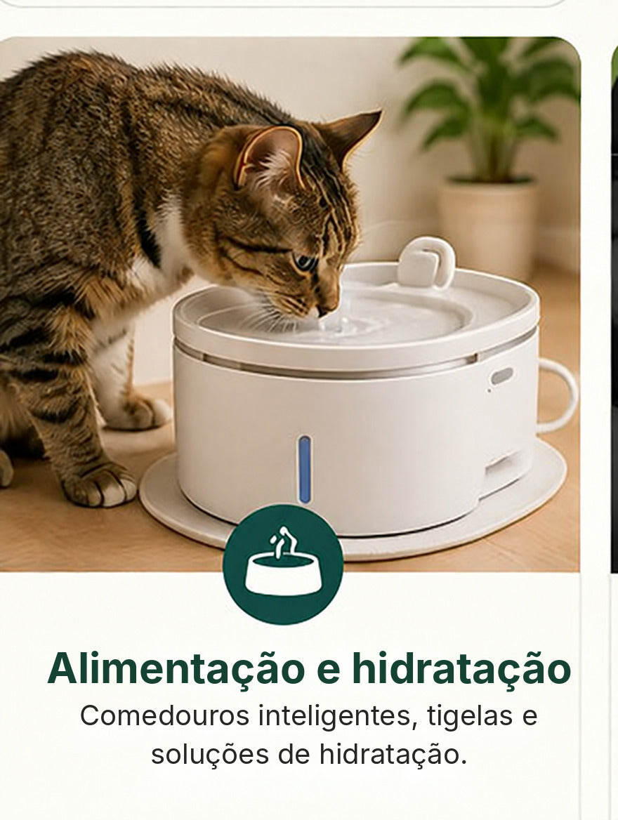 Alimentação e Hidratação