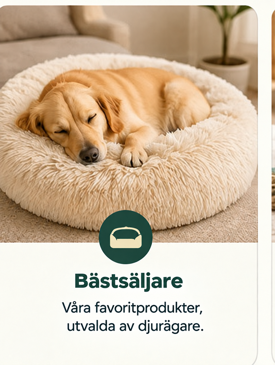 Bästsäljare