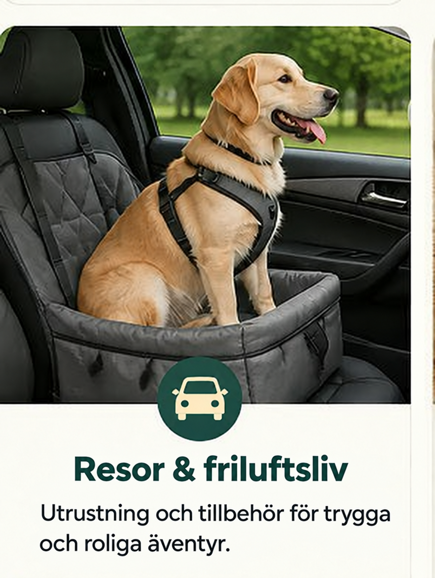 Resor och utflykter