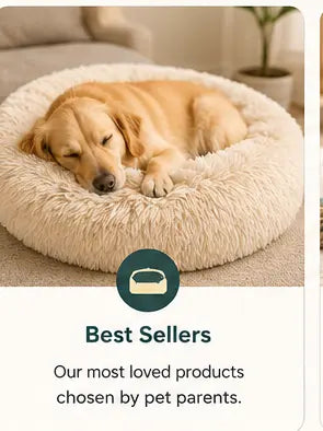 Best-Sellers Pawnests