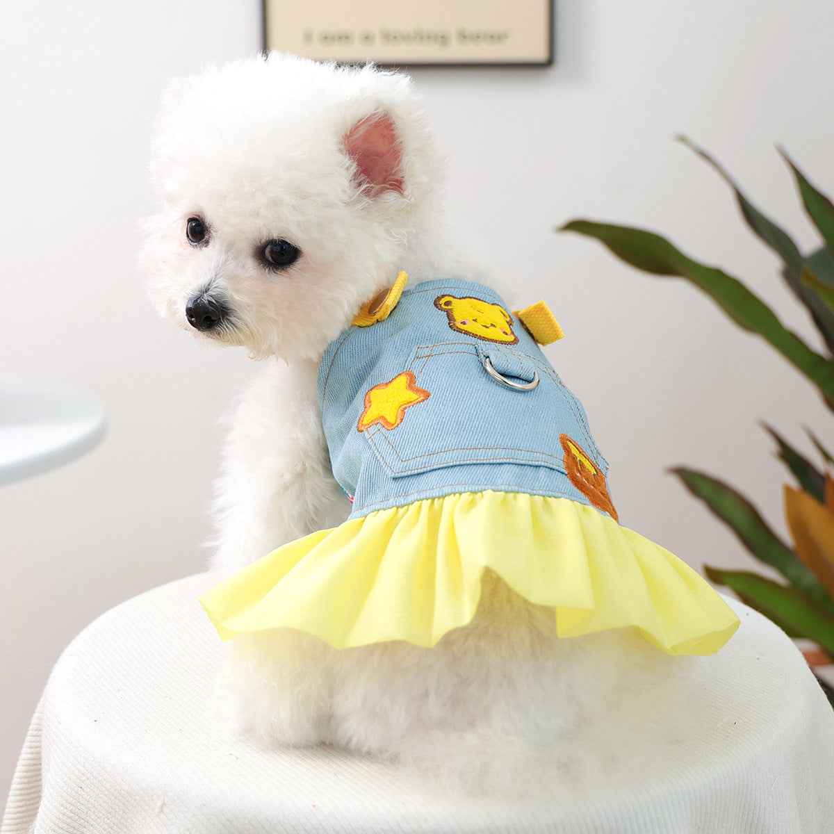 Pet Denim Skirt | Cute Summer Dress for Small Dogs & Cats – product image 42 | Pawnests