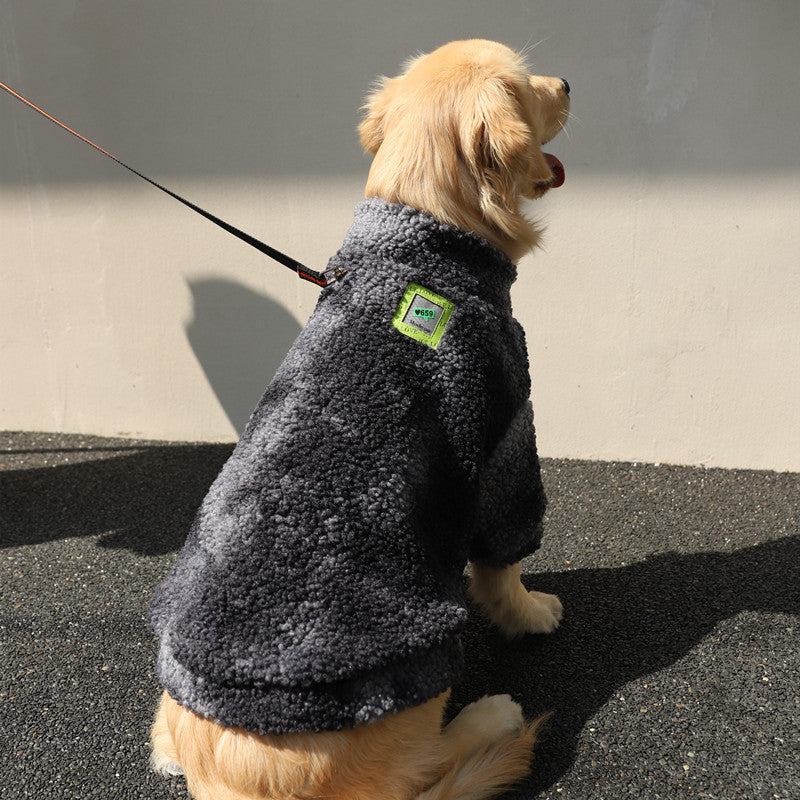 Dog jacket lifestyle shot in cold weather — Pawnests