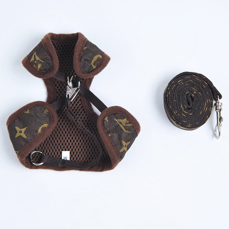 Kitten harness gentle fit close-up — Pawnests