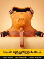 Dog harness and retractable leash set in Turmeric Orange — anti-escape walking kit | Pawnests