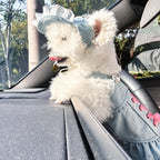 Pet Denim Skirt | Cute Summer Dress for Small Dogs & Cats