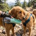 Portable Leakproof Dog Water Bottle Pawnests