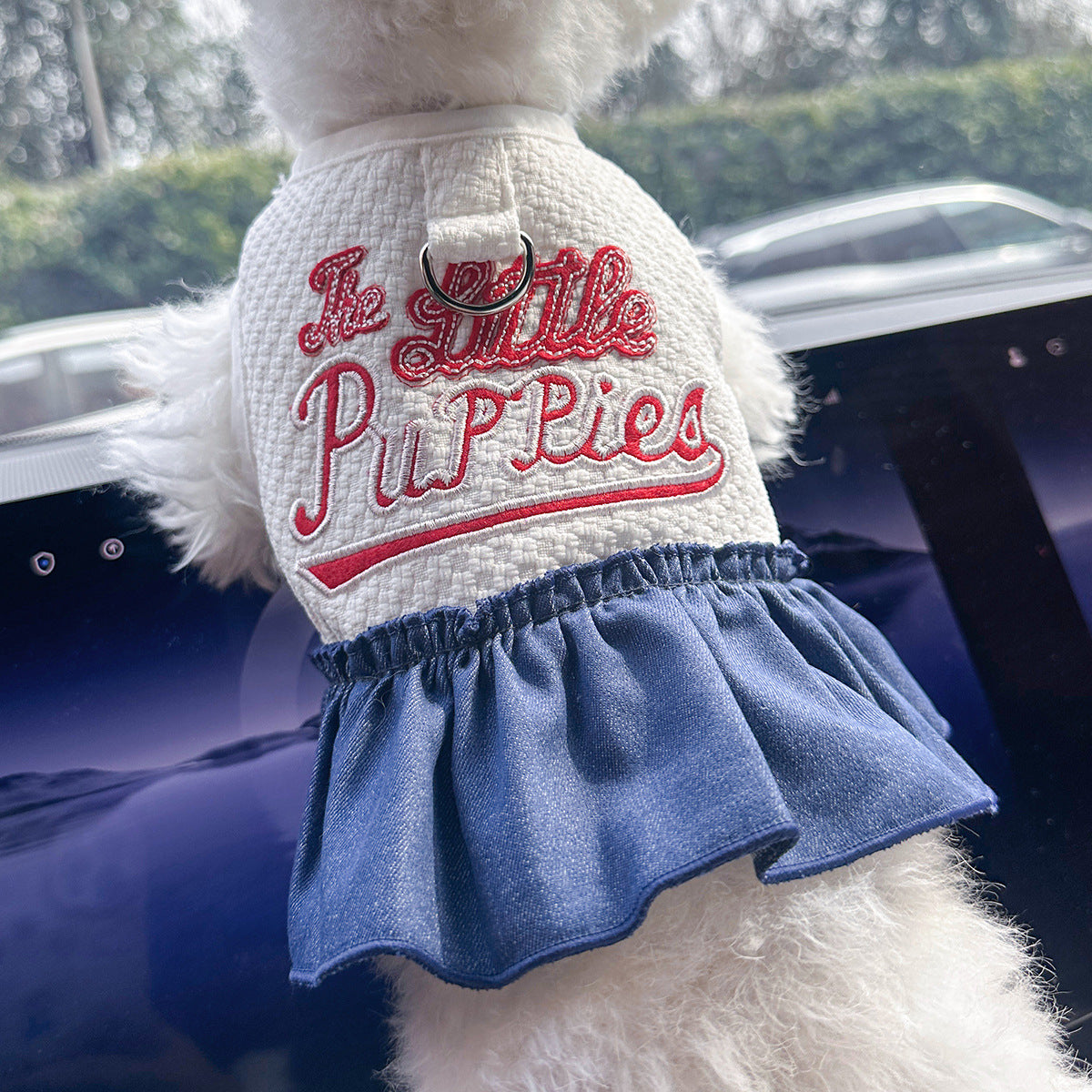 Pet Denim Skirt | Cute Summer Dress for Small Dogs & Cats – product image 30 | Pawnests