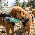 Portable Leakproof Dog Water Bottle