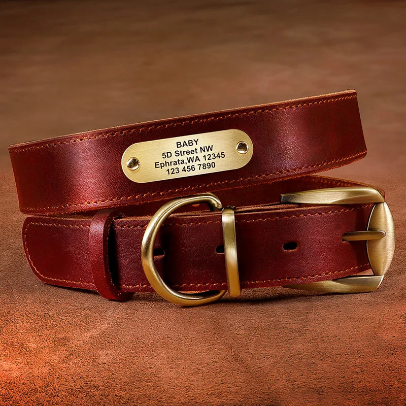 4 lines Custom Padded Collar & Walking Lead Pawnests