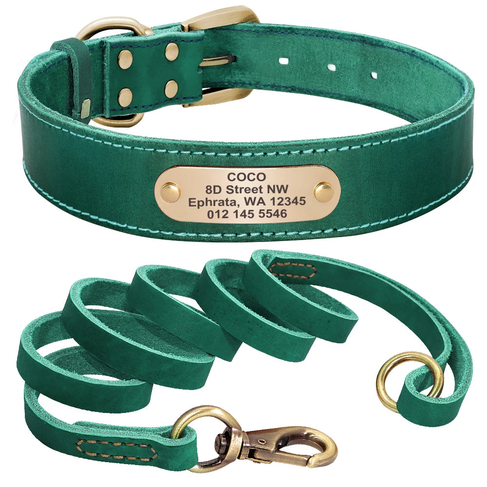 4 lines Custom Padded Collar & Walking Lead Pawnests