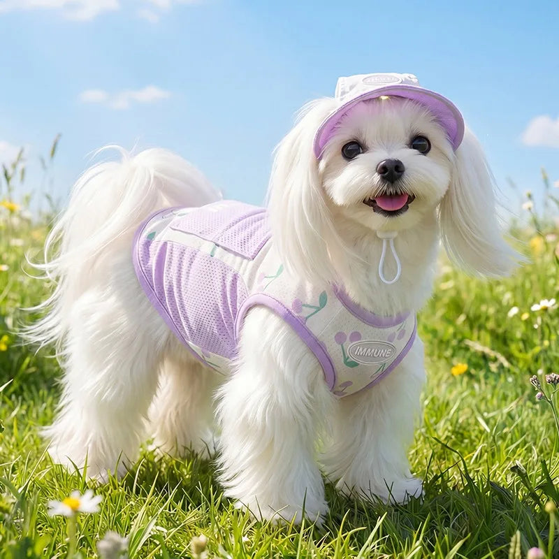 Mesh Hooded Pet Cooling Tank Top Pawnests