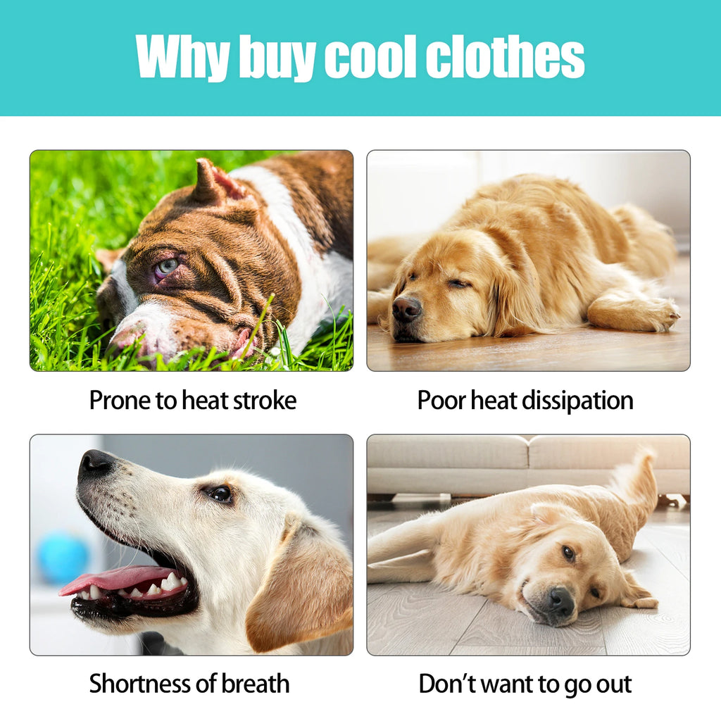 Breathable Dog Cooling Vest – Adjustable Summer Jacket