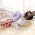 AeroBrush | 3-in-1 Foldable Steam Pet Brush