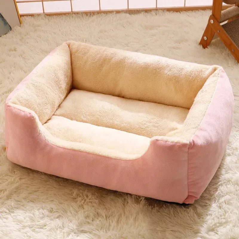 Plush cat bed lifestyle shot — calming donut design for indoor cats — Pawnests