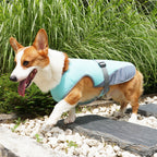 Breathable Dog Cooling Vest – Adjustable Summer Jacket