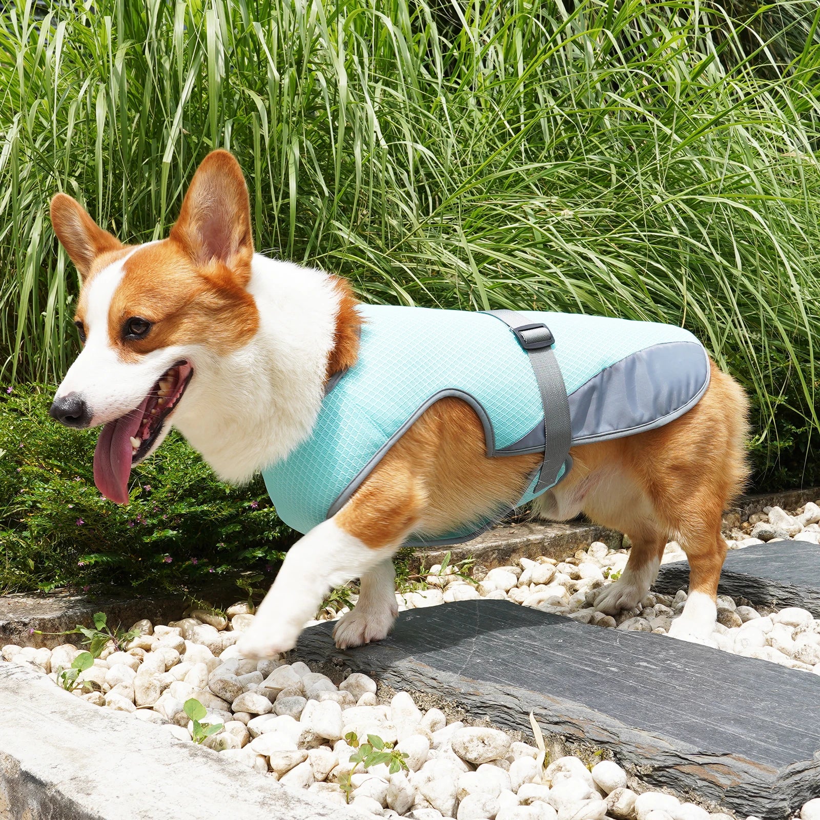 Breathable Dog Cooling Vest – Adjustable Summer Jacket