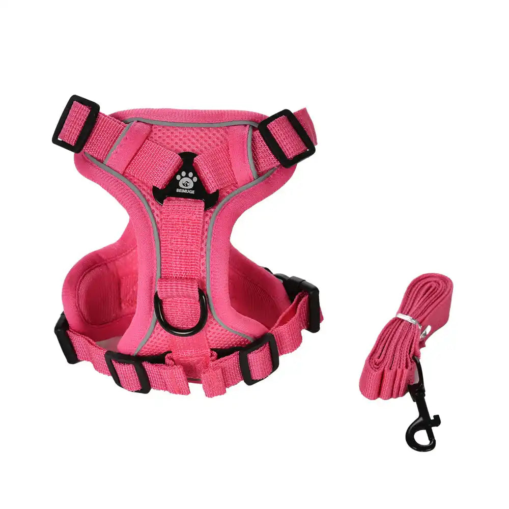 Pawnests Aura | Reflective Breathable Pet Harness & Leash Set Pawnests