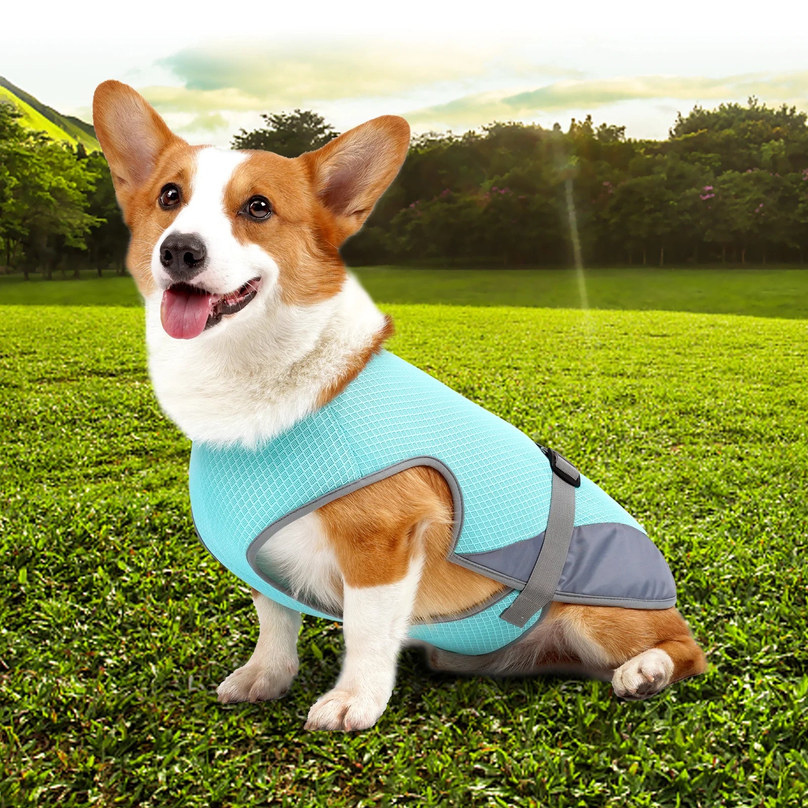 Breathable Dog Cooling Vest – Adjustable Summer Jacket