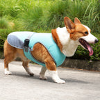 Breathable Dog Cooling Vest – Adjustable Summer Jacket