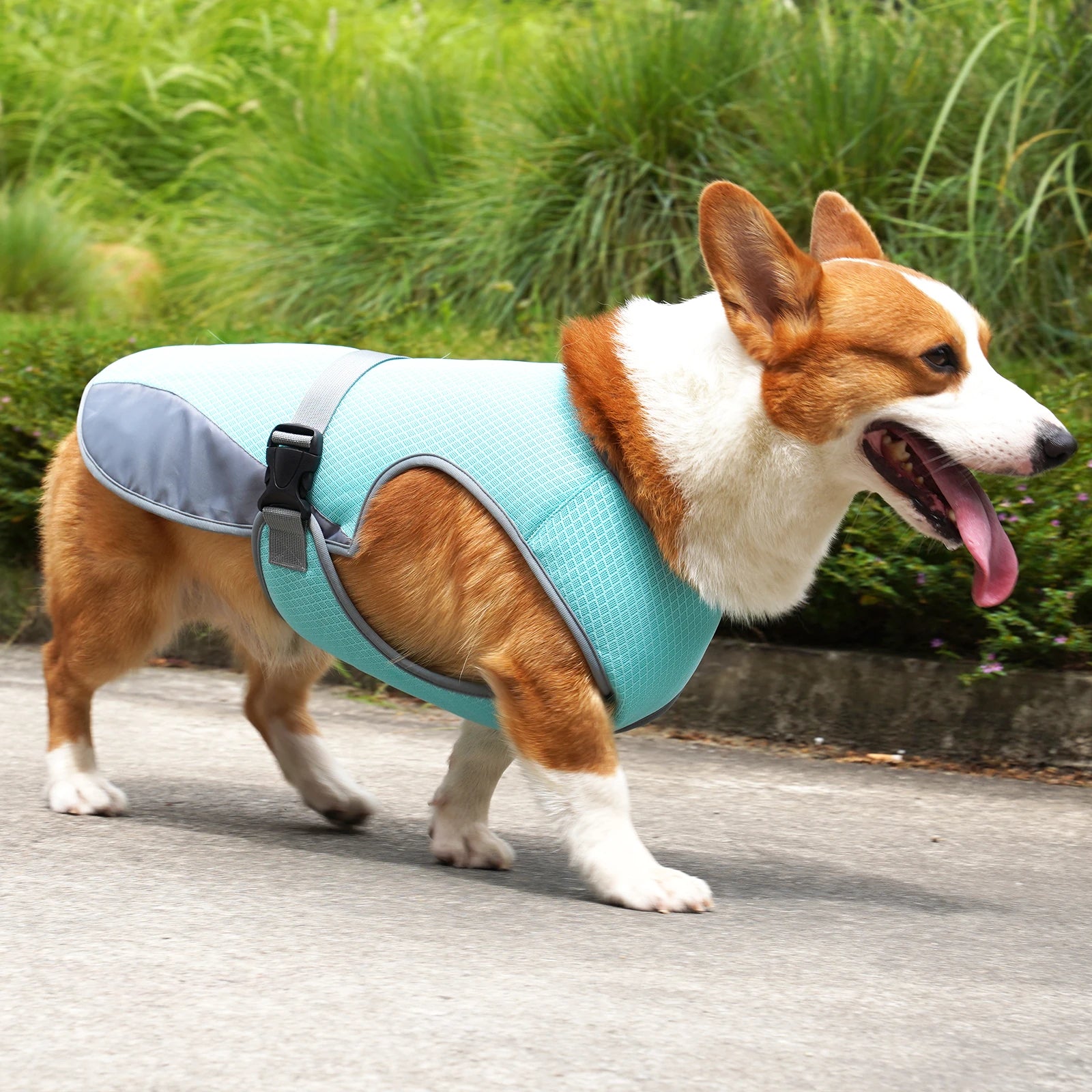 Breathable Dog Cooling Vest – Adjustable Summer Jacket