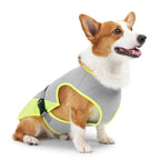 Breathable Dog Cooling Vest – Adjustable Summer Jacket