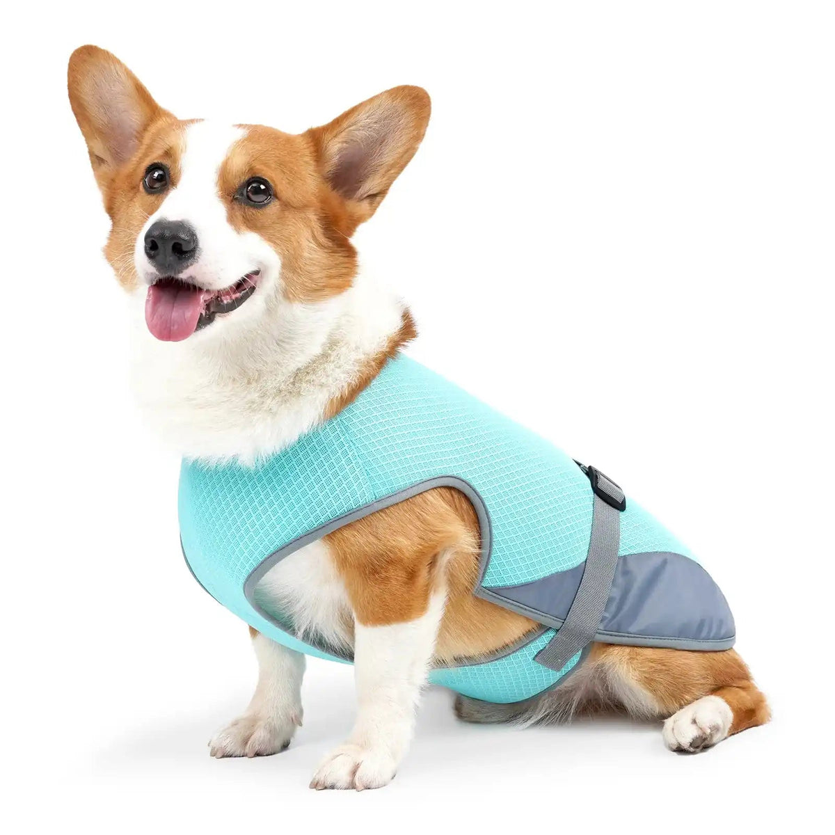 Breathable Dog Cooling Vest – Adjustable Summer Jacket Pawnests