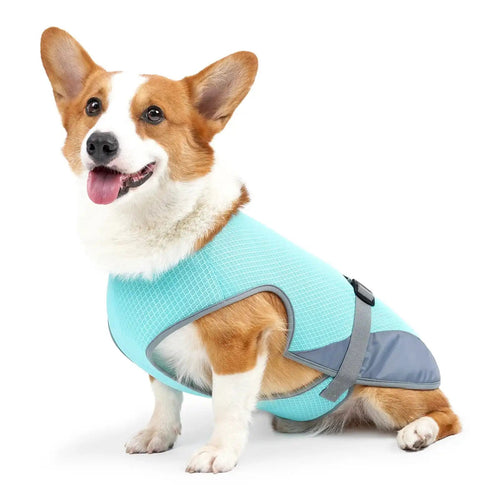 Breathable Dog Cooling Vest – Adjustable Summer Jacket Pawnests