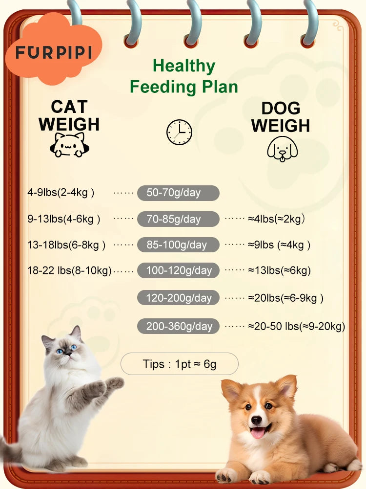 VisionFeeder | Dual-WiFi Smart Pet Feeder with Camera