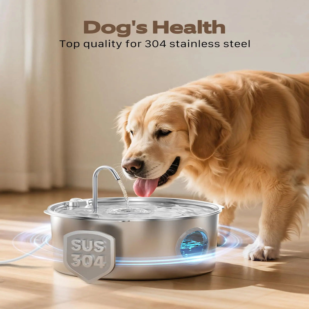 Dog drinking water from a stainless steel pet fountain with 'Dog's Health' branding.