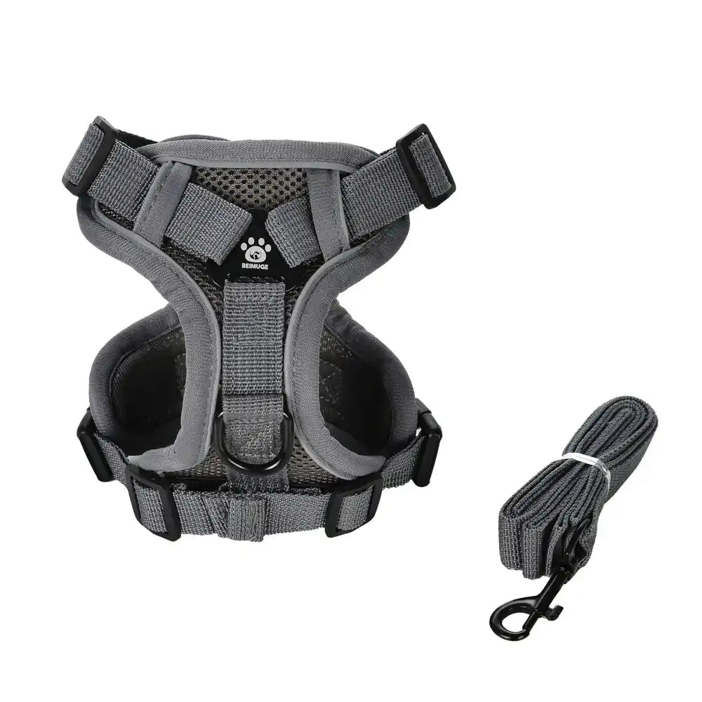 Pawnests Aura | Reflective Breathable Pet Harness & Leash Set Pawnests