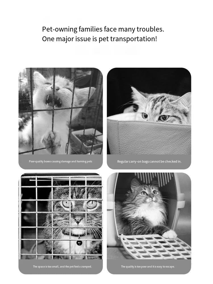 Pet airline crate cat space box portable cage outings dog shipping box Pawnests
