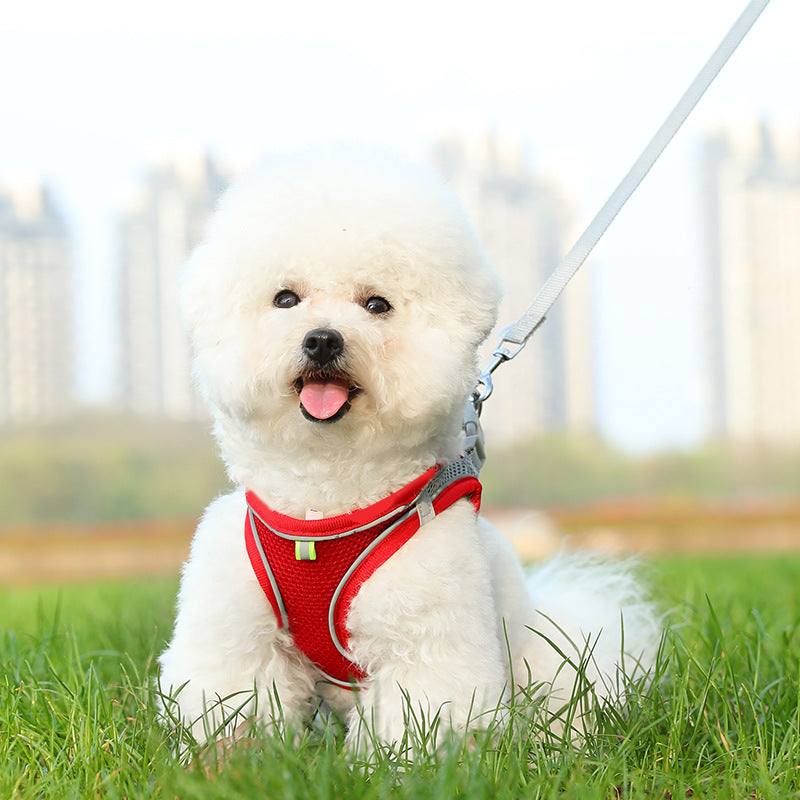 Dog Harness & Leash Set | Reflective Nylon Walking Set for Dogs & Cats