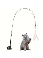 Grey cat playing with a feather cat wand on a suction-cup base | Pawnests