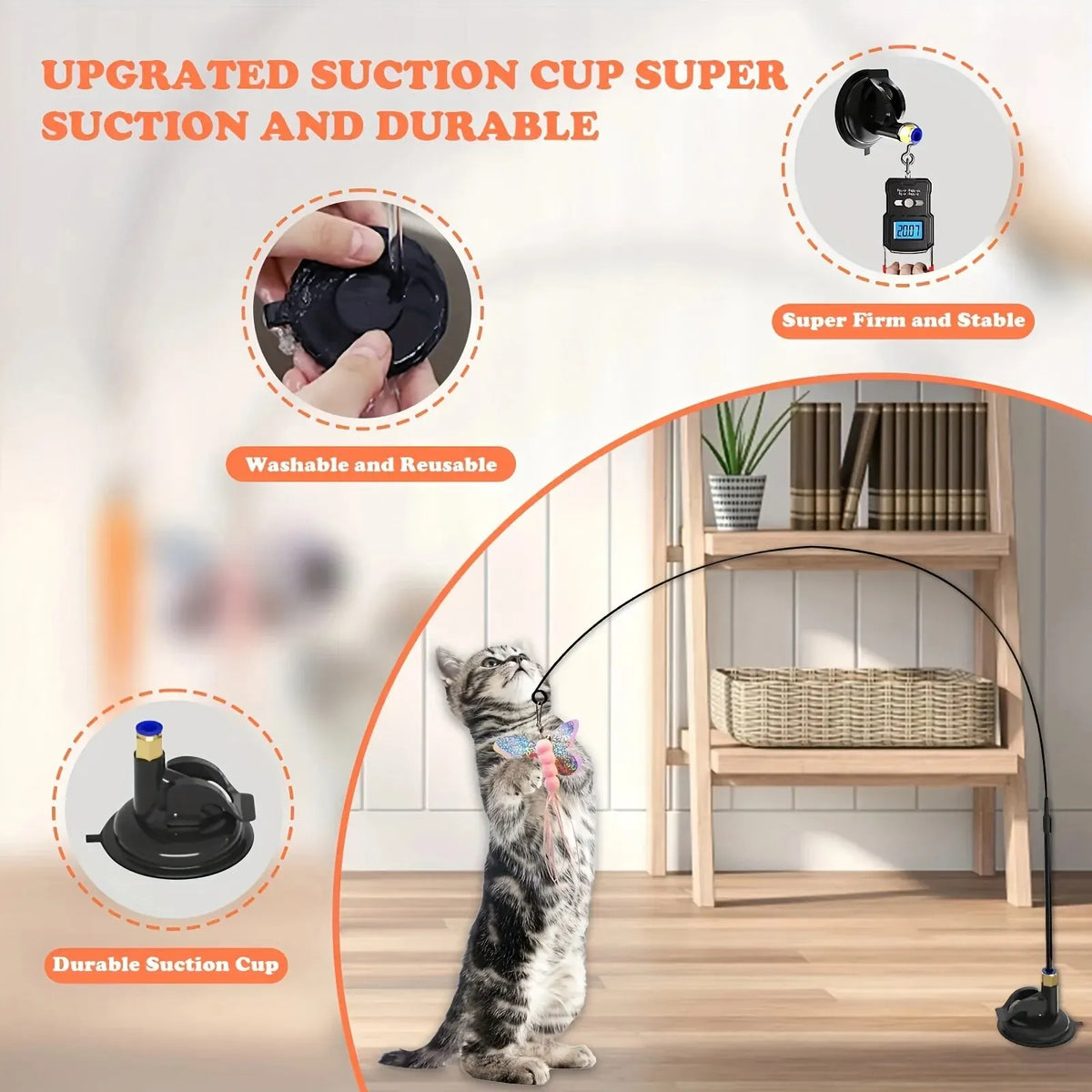 Upgraded washable and reusable suction cup for the cat teaser toy, with a cat playing | Pawnests
