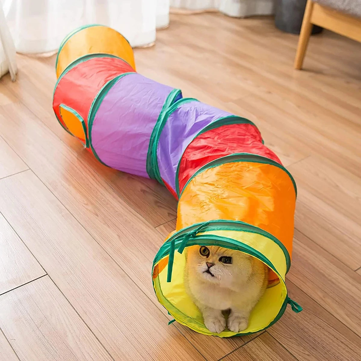 Rainbow cat tunnel with branching play design — Pawnests