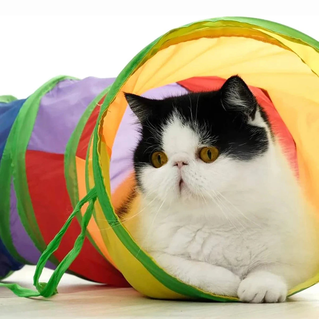 Rainbow cat tunnel with multiple openings and hanging ball — Pawnests
