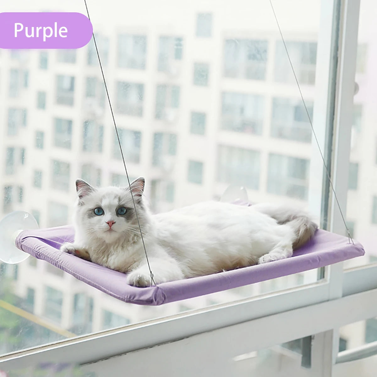 Mor kedi penceresi hamak