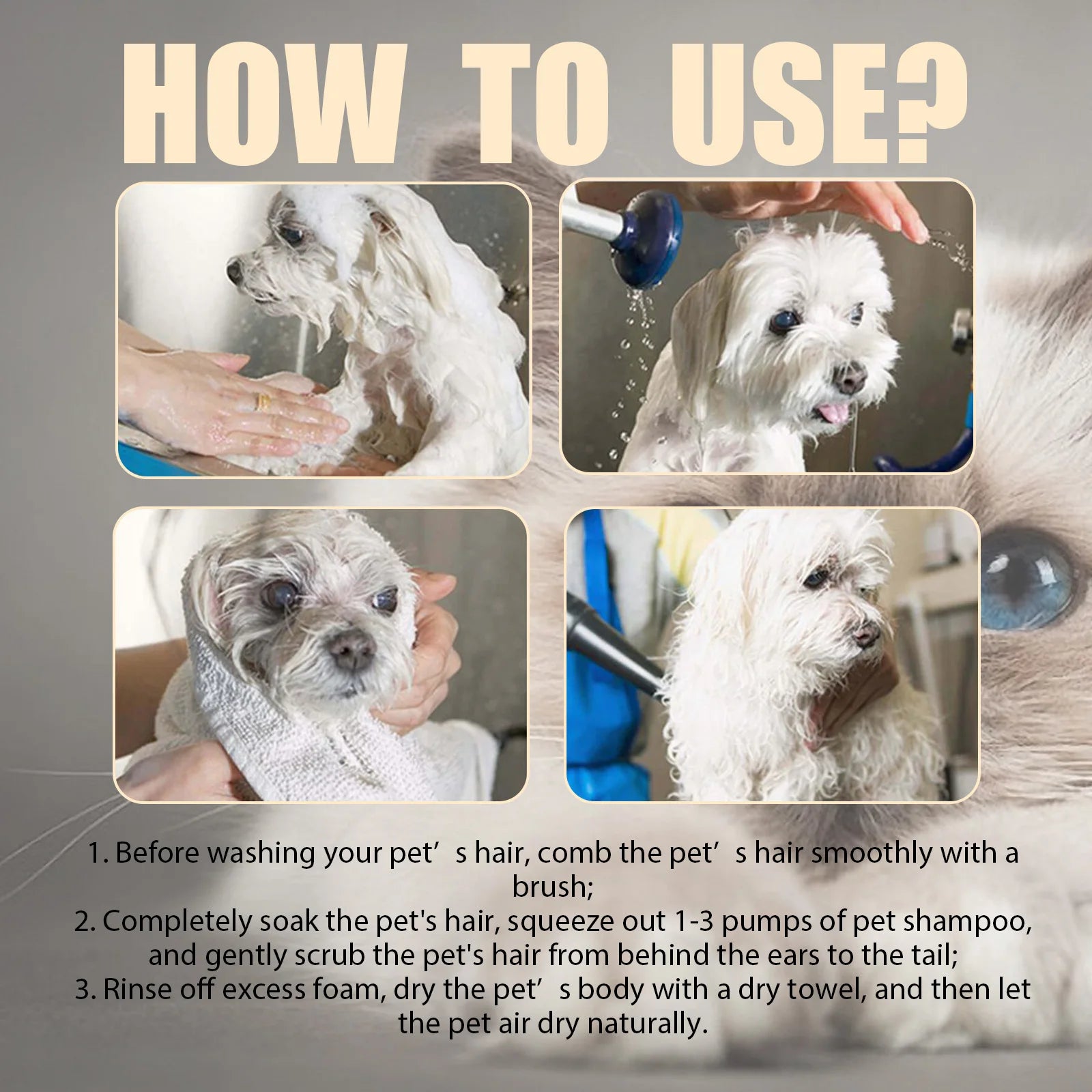 Clean happy dog after bath with anti-flea shampoo | Pawnests