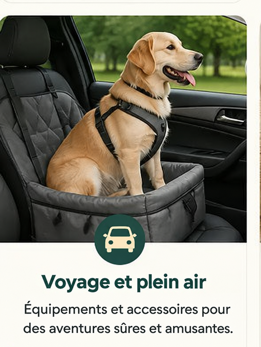 Voyage et plein air