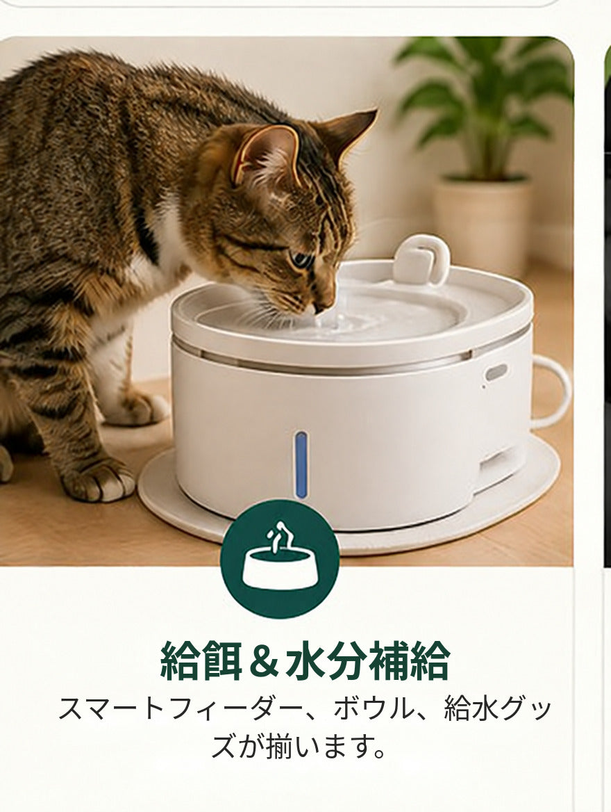 給餌＆水分補給