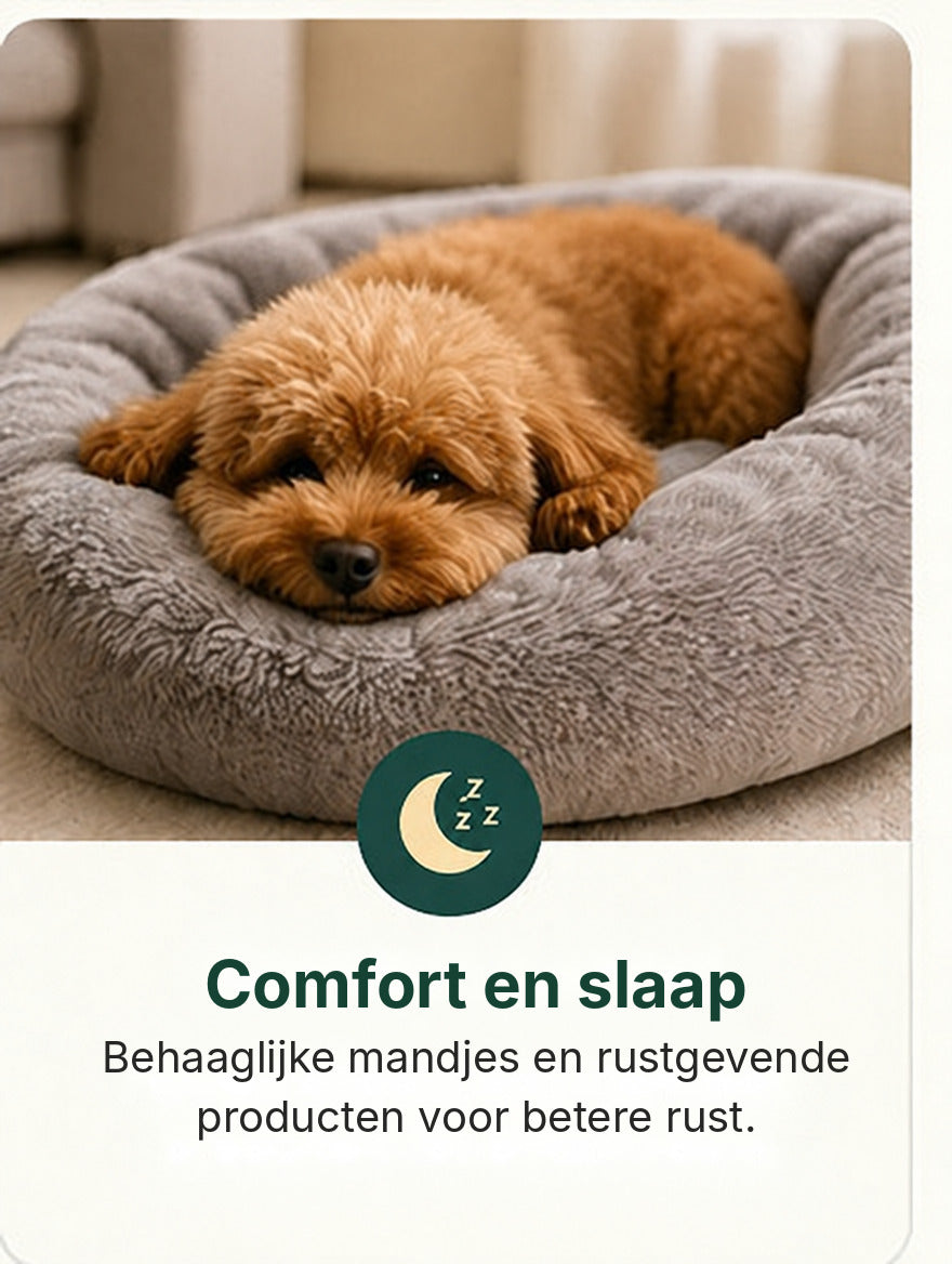 Comfort en slaap