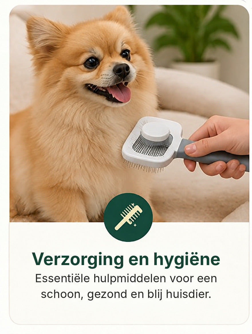 Verzorging en hygiëne