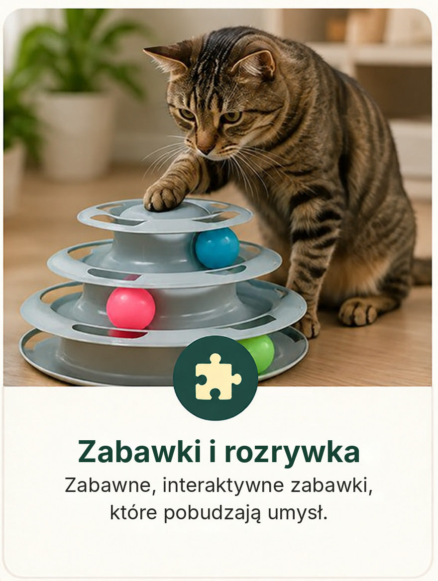Zabawki i rozrywka