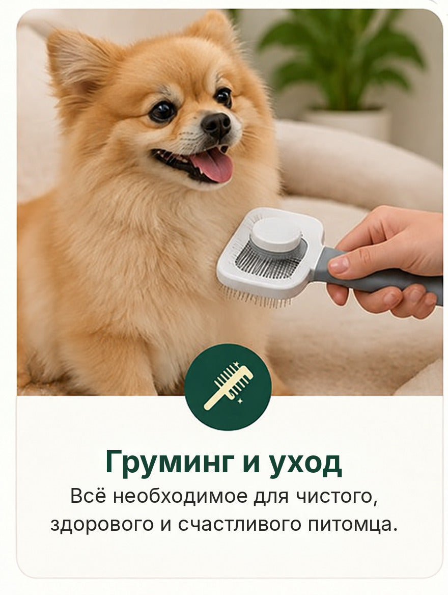 Груминг и уход