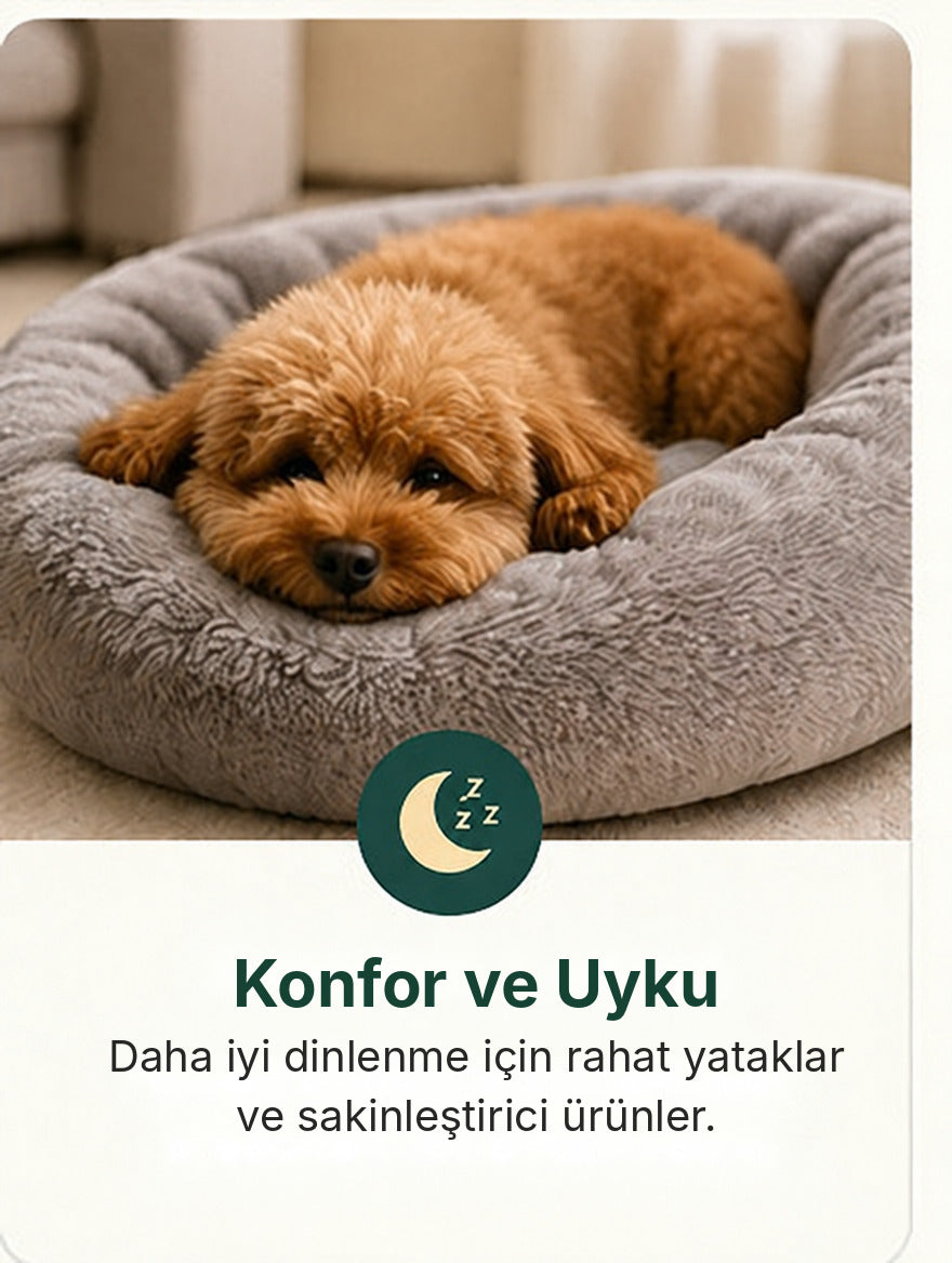 Konfor ve Uyku