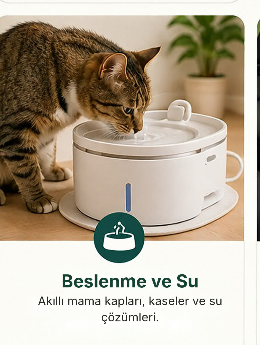 Beslenme ve Su