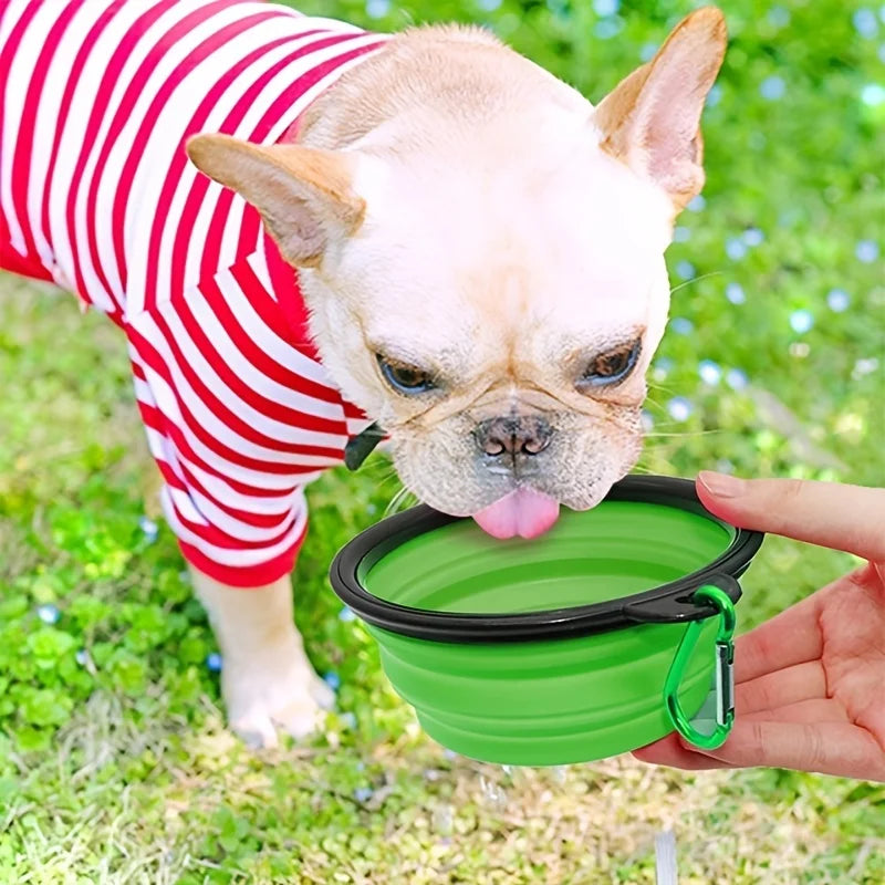 French bulldog drinking from a green collapsible travel bowl outdoors | Pawnests